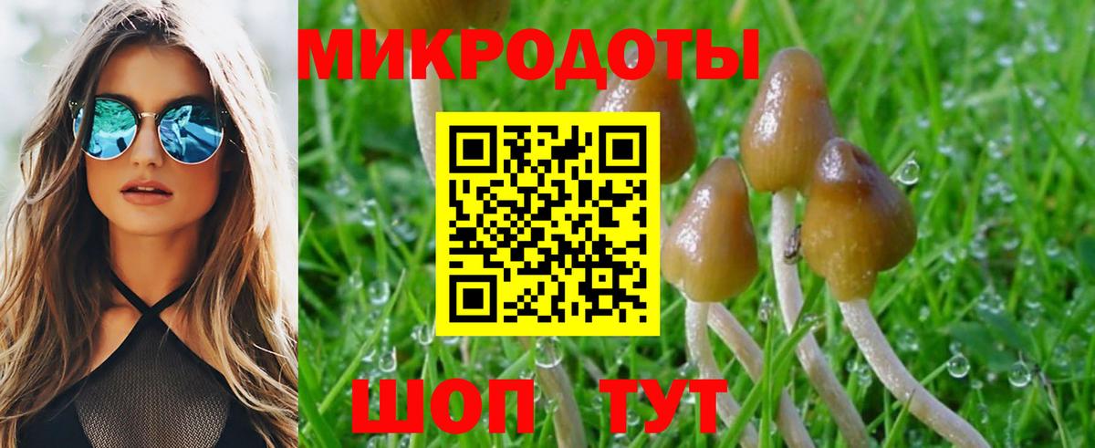 Галлюциногенные грибы Magic Shrooms  Псилоцибиновые грибы мухоморы  Звенигород  Вход с VPN 